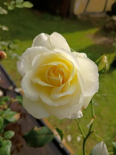 'Stockholm'
